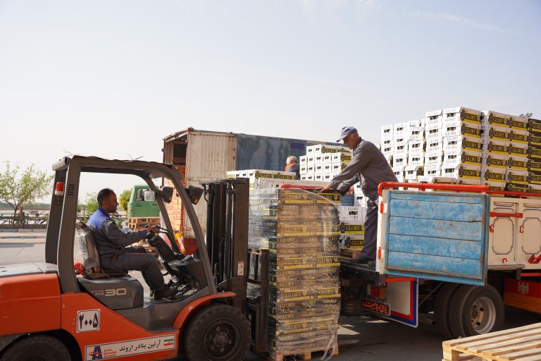 شعبه بندر شهید باهنر شرکت آرتین بنادر اروند