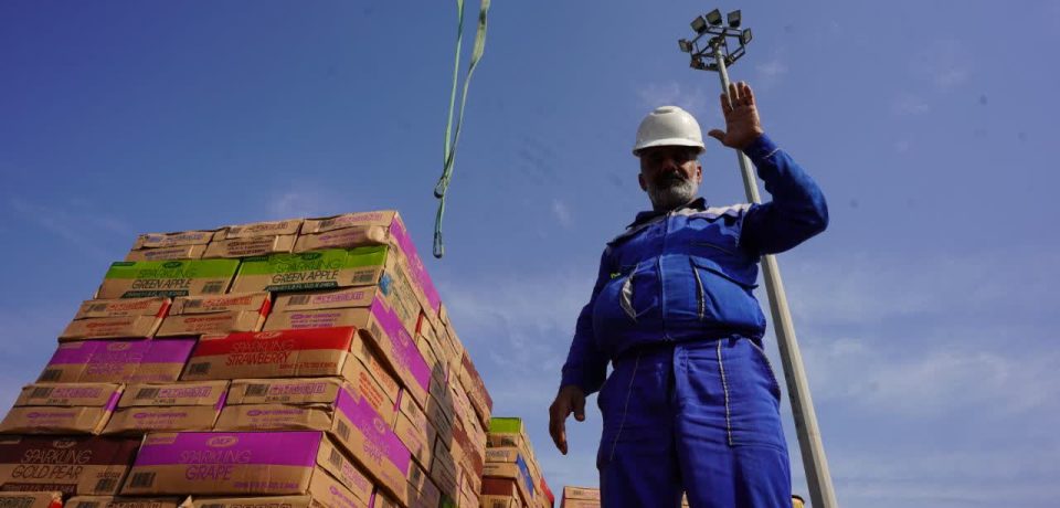 شمارش کالا شرکت آرتین بنادر اروند