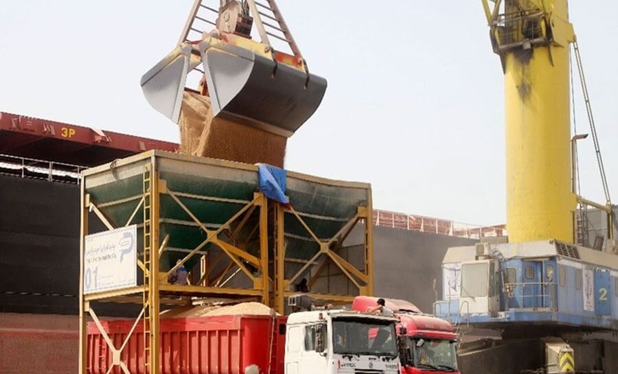 Ù¾ÙÙÙØ¯ÙÛ Ø³ÙÙÛÙ Ø´ÙØ§ÙØ± Ø­Ø§ÙÙ Ú©Ø§ÙØ§Û Ø§Ø³Ø§Ø³Û Ø¯Ø± Ø¨ÙØ¯Ø±Ø´ÙÛØ¯ Ø±Ø¬Ø§ÛÛ@g»c