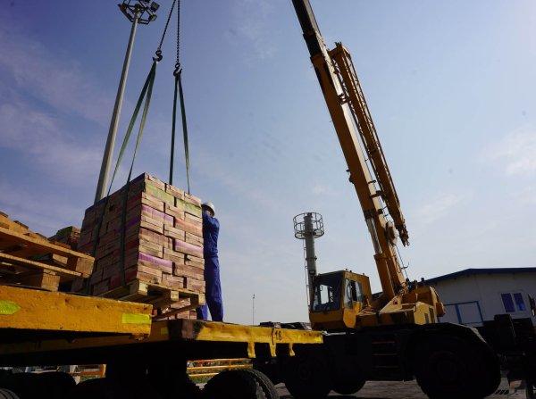 شعبه بندر آبادان شرکت آرتین بنادر اروند