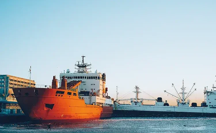 107083_136 107083_136