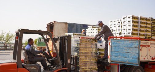 شعبه بندر آبادان